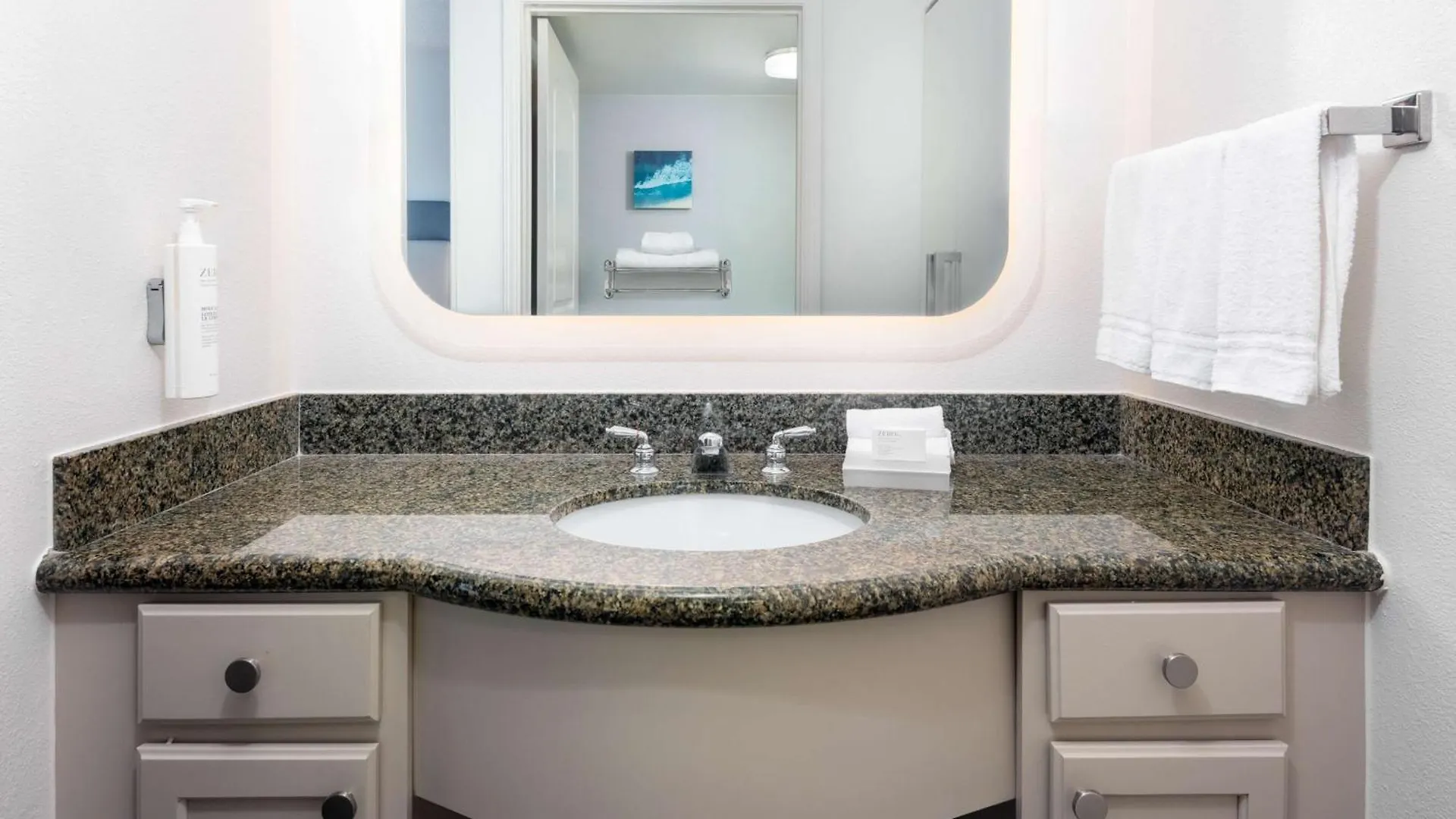 Homewood Suites By Hilton Tampa Airport - Westshore